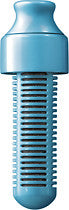 Replacement Carbon Filters (2-Pack) - Blue
