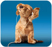Deluxe Music Dog Mouse Pad - Blue/Tan
