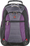 Skywalk Laptop Backpack - Purple